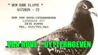 VAN HOVE - UYTTERHOEVEN | OUDE FLIPPE - The Havenith Foundation