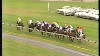 1990 Adelaide Cup - Double Gin vs Water Boatman
