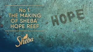 No. 1 The Making of Sheba Hope Reef | Behind The Scenes | Sheba Hope Grows