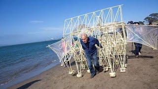 Adam Savage Meets Theo Jansen's Strandbeest!