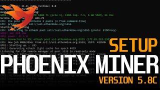 How to Setup Phoenixminer | Phoenix Miner Setup Update for Phoenixminer 5.8c