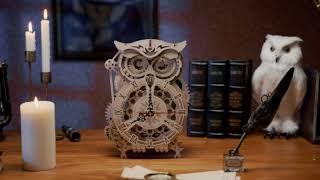 3D Wooden  Puzzle Owl Clock