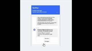 NetPay Chatbot