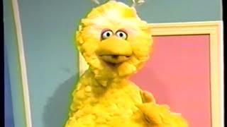 Sesame Street - Big Bird Opens a Door