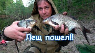 Лещ на фидер! Рыбалка в Нижегородской области