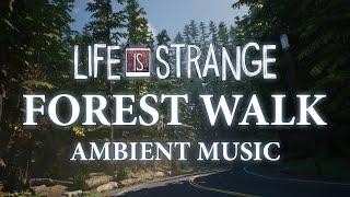 Life Is Strange Ambient Music | Forest Walk - Relaxing, Sleeping, Studying