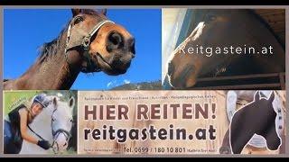 Gastein ist ... Reitgastein.at | Reiten im Gasteinertal * präsentiert von edition riedenburg