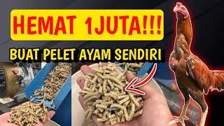 HEMAT 1 JUTA!!! BUAT PELET AYAM SENDIRI DENGAN MESIN CHOPPER DAN PUR AYAM 2 IN 1