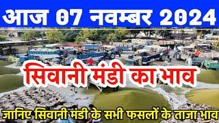 सिवानी मंडी भाव| 07 नवम्बर 2024 आज नरमा कपास गेहूं सरसों मूंग चना ग्वार के भाव| Siwani mandi ke bhav