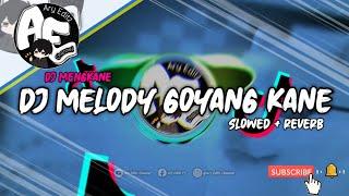 DJ MELODY GOYANG KANE [ Slowed+Reverb ] DJ MENGKANE | SLOW BASS DJ VIRAL TIKTOK TERBARU