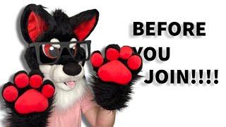 What You Should Know Before Becoming a Furry