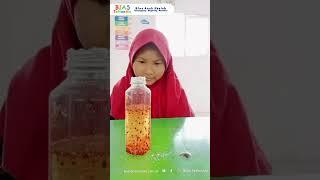 Eksperimen Lava Lamp (SD BIAS Temanggung)