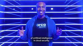 What is Orca AI? | Orca Insights