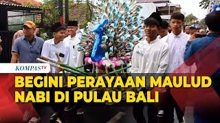 Melihat Suasana Perayaan Maulud Nabi di Bali