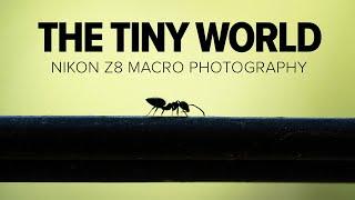 Nikon Z8 Macro Photography | The Tiny World