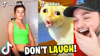 The *ULTIMATE* TikTok Try Not To LAUGH Challenge! (99% FAIL)