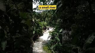 A small river at wadaslintang central java indonesian