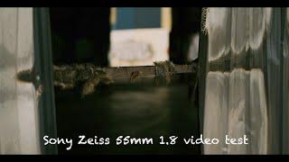 Sony Zeiss 55mm 1.8 video test