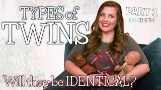 All About TWINS! Identical or Not? Types & MORE! | Part 1 | Sarah Lavonne