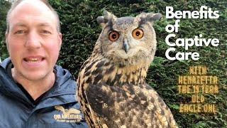 Benefits for animals in Captivity with my 19 Year owl Eagle Owl