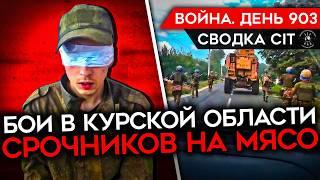 ВОЙНА. ДЕНЬ 903. ВСУ НАСТУПАЮТ В КУРСКОЙ ОБЛАСТИ/ СРОЧНИКОВ КИДАЮТ НА МЯСО/ ПЕРСПЕКТИВЫ ВСУ