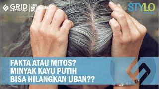 Mitos Atau Fakta, Minyak Kayu Putih Bisa Hilangkan Uban?