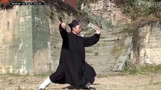 Wudang Sanfeng Taiji Quan 28 by Master Zhong Yunlong (slo-mo)