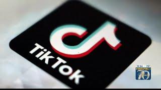 Livingston Parish could potentially ban TikTok on all government issued devices