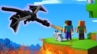 I'm playing minecraft - deleting the ender dragon by myself