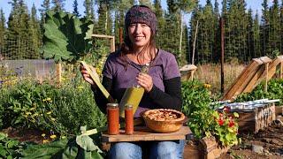 Late Summer Garden Harvest | Canning BBQ sauce, Pulling Onions & Rhubarb Berry Pie