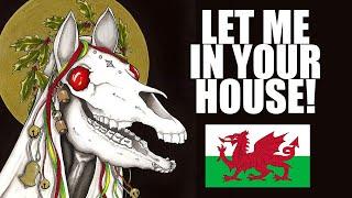 The CREEPY Welsh Christmas Tradition | The Mari Lwyd