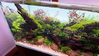 UNBELIEVABLE AQUASCAPE FROM HIS FIRST LIVE WORKSHOP