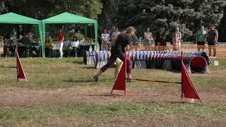 JUMPING - Резанова Валентина Шелти Рэсси | CherkasyOpenAgility