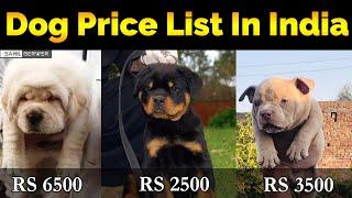 DOG PRICE LIST IN INDIA || POPULAR DOG BREEDS PRICE || SAHIL BERWER || PART 1