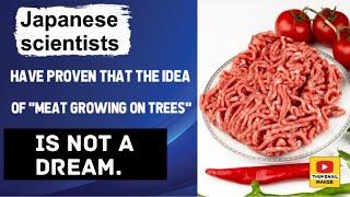 Japanese scientists have proven that the idea of ​​"meat growing on trees" is not a dream.