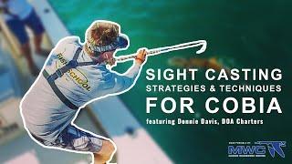 Sight Casting Strategies and Techniques for Cobia