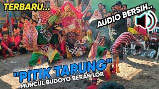 MUNCUL BUDOYO Tari PITIK TARUNG-BERSIH AUDIO,NYA FULL DADI Live Keramat