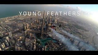 Jetman Dubai : Young Feathers 4K