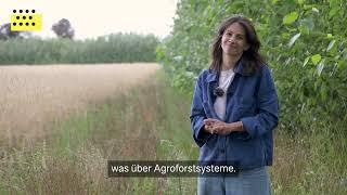 Agroforst - wie Ackerflächen von Bäumen profitieren