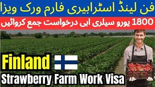 Finland work visa 2024 apply online | how to Apply Finland work permit visa | Finland Seasonal Work