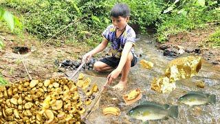 A 7-year-old orphan boy went to collect fish and suddenly found gold in the stream bed