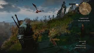 The Witcher 3 - Kill a Wyvern via Quen, Axii and Thousand Flowers Full Armor and Sword Set PS5 4.0