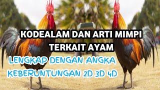 KODEALAM AYAM ⁉️ ARTI MIMPI AYAM, LENGKAP ANGKA 2D 3D 4D,