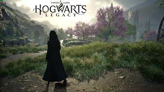 Hogwarts Legacy Relaxing Walk across the Map | 4K Max Graphics - RTX 4090