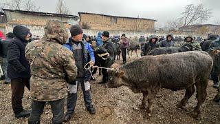 СООДАСЫ КӨП БОЛДУ / НООКАТ БУКА БАЗАРЫ / 1-ДЕКБАРЬ 2024 ЖЫЛ