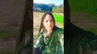 Vierl video  Pashto New Songs 2025  #pashtosongs #music #pashtomusic #newpashtosong #shorts #short