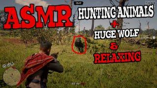 ASMR Red dead Redemption 2 Hunting ANIMALS & RELAXING