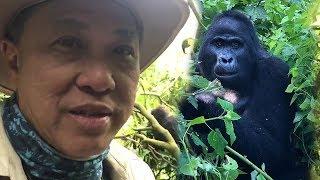 OFF THE BEAT: Up close with gorillas