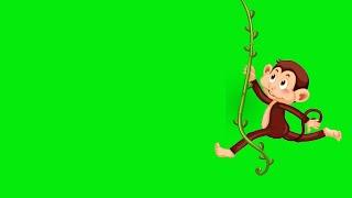 Animated green screen Monkey- 4| No copyright | Animation World