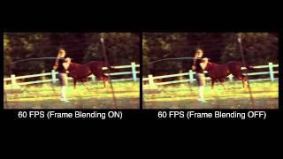 Frame Blending Comparison